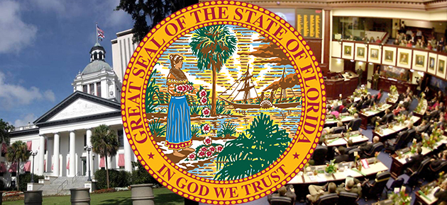 Florida Legislative Session slide
